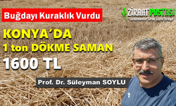 Konya'da 1 ton dökme saman 1.600 TL