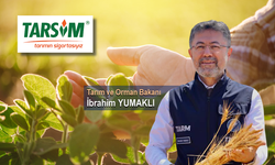 TARSİM ÇİFTÇİLERE 7,3 MİLYAR TL ÖDEME YAPTI