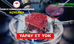 TÜRKİYE'DE YAPAY ET ÜRETİMİ YOK!