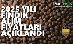 TMO 2025/26 DÖNEMİ FINDIK ALIM FİYATLARINI AÇIKLADI
