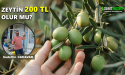 ZEYTİN FİYATLARI 200 TL OLUR MU?