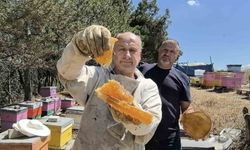 Bursa’da üretilen bu bal her derde deva
