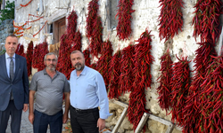 Bilecik'te 160 Yıldır Aynı Tohumdan Acı Biber Üretiliyor