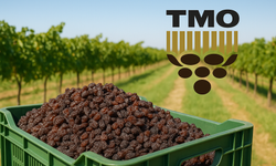 TMO Çekirdeksiz Kuru Üzüm Alım Fiyatını Açıkladı