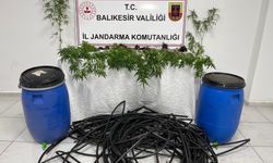 Erdek'te damlama sulamalı kenevir tarlasına jandarma baskını