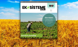 TSKB Ekosistem Dergisinde Onarıcı Tarım Kavramı İnceleniyor
