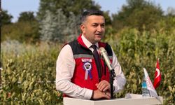Yalova’nın coğrafi işaretli meyvesi aronyada hasat sevinci