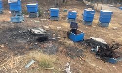 Bursa Büyükşehirden Yangın Mağduru Arıcılara Kovan Desteği