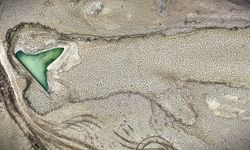 Bursa Tarımının Kalbi Gölbaşı ve Demirtaş Barajları Kurudu