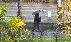 Edirne'de etkili olan sağanak yağış çiftçileri sevindirdi