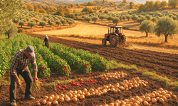 Ekim Ayı Tarımsal Faaliyetler Takvimi