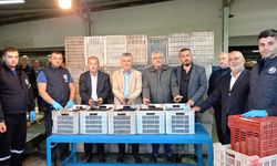 Marmarabirlik İznik Kooperatifinde Zeytin Alımları Başladı