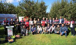 Muş'ta elma hasadından 100 milyon liralık gelir bekleniyor