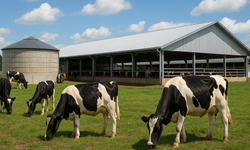 Tarımsal Üretimde Nitrat kirliliği İle Mücadelede Yeni Dönem