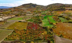 Uludağın eteklerinde sonbahar renklerinin görsel şöleni