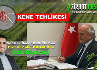 Prof. Dr. Zafer KARAER