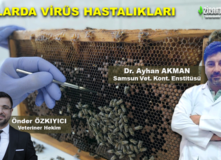Virolog Dr. Ayhan AKMAN