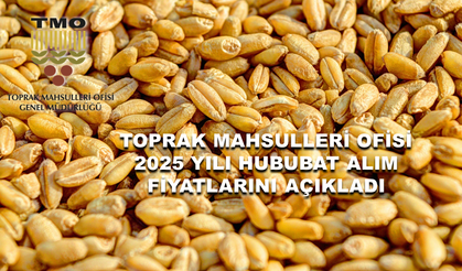 TMO BUĞDAY, ARPA ALIM FİYATLARINI AÇIKLADI