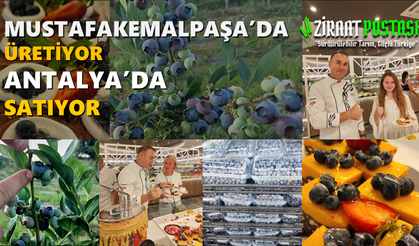 Mustafakemalpaşa'da Üretiyor Antalya'da Satıyor