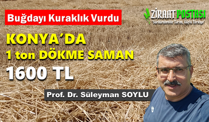 Konya'da 1 ton dökme saman 1.600 TL