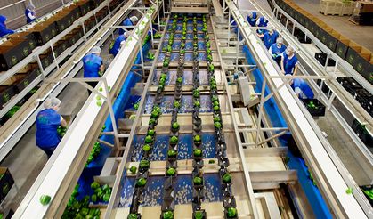 MEKSİKA FİRMASI, SÜRDÜRÜLEBİLİR TARIMA YÖNELİYOR