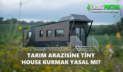 Tarım Arazilerine Tiny House Kurmak Yasal mıdır?