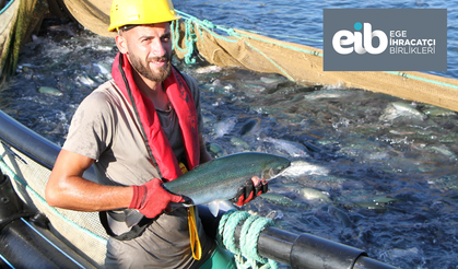 TÜRK SOMONUNDA İHRACAT HEDEFİ 1 MİLYAR DOLAR