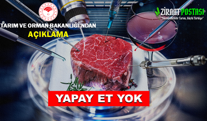 TÜRKİYE'DE YAPAY ET ÜRETİMİ YOK!