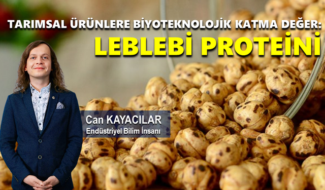TARIMSAL ÜRÜNLERE BİYOTEKNOLOJİK KATMA DEĞER: LEBLEBİ PROTEİNİ