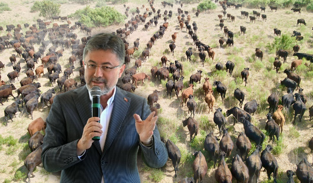 Tarım Bakanı Açıkladı: 4,5 Milyar TL Destek Ödeniyor