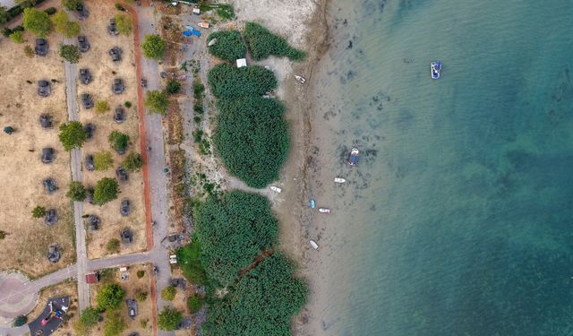 Sapanca Gölü’nde tarihi kuraklık alarmı