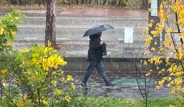 Edirne'de etkili olan sağanak yağış çiftçileri sevindirdi