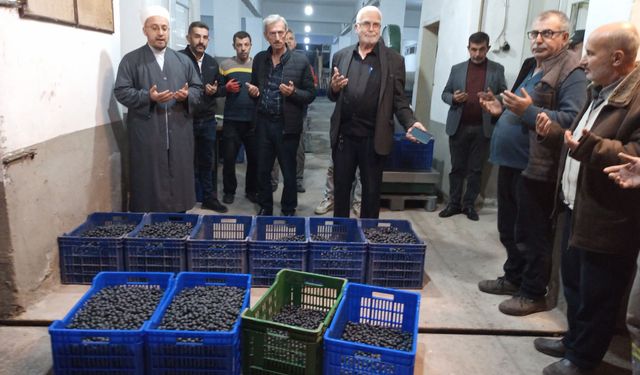 Gemlik Katırlı Kooperatifi Zeytin Alım Fiyatlarını Açıkladı