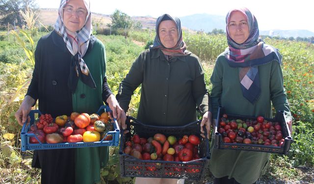 Kayseri Kocasinan'daki Kadın Kooperatifi Harikalar Üretiyor