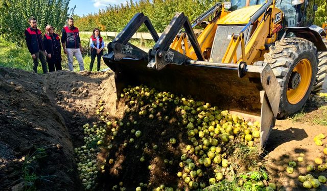 Bursa'da yasaklı pestisit içeren 40 ton armut imha edildi