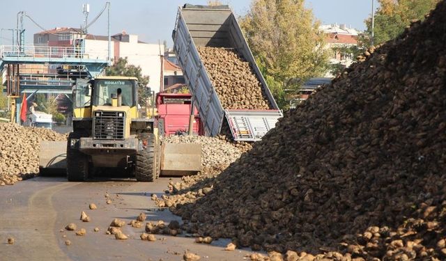 Tarım Bakanlığı Açıkladı: Türkiye'de Şeker İthalatı Yok