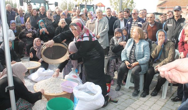 Coğrafi işaretli Manyas fasulyesinde hasat festivali yapıldı