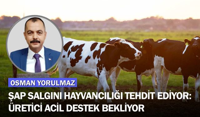 ŞAP SALGINI HAYVANCILIĞI TEHDİT EDİYOR, ÜRETİCİ ACİL DESTEK BEKLİYOR