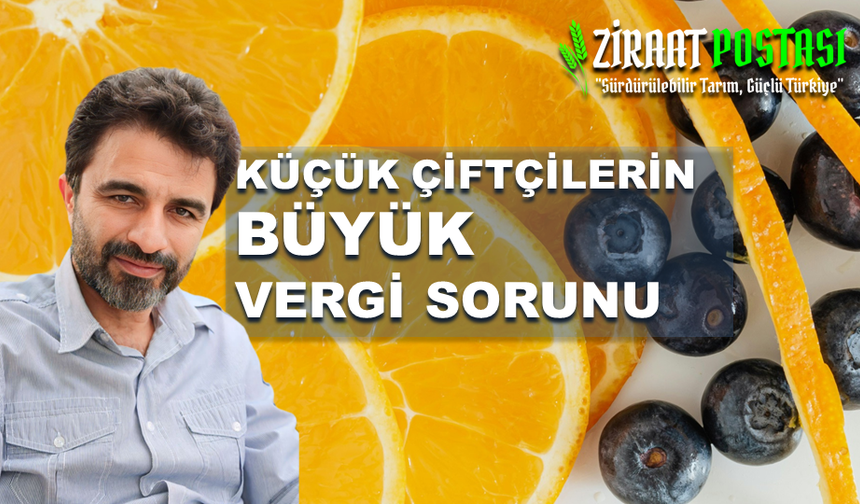 Küçük Çiftçilerin Vergi Sorununa Bir Çözüm Önerisi