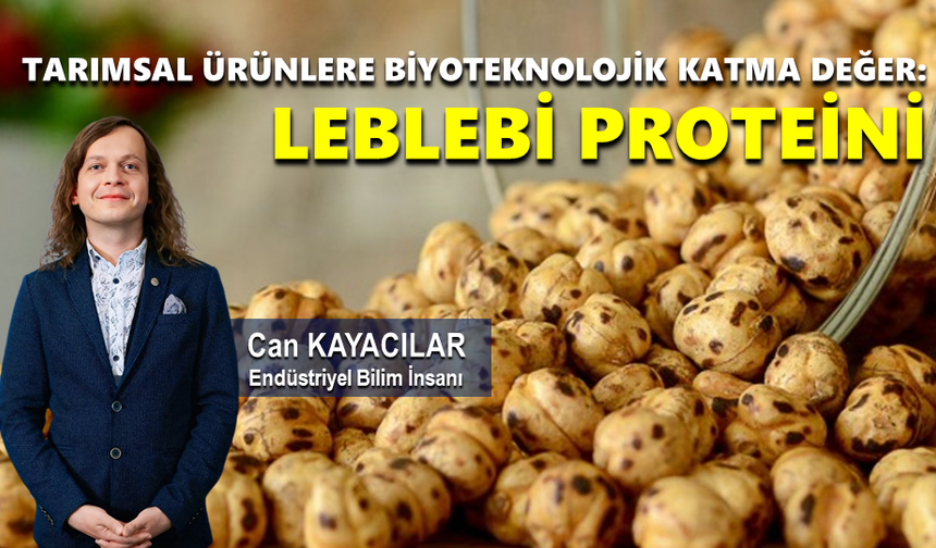 TARIMSAL ÜRÜNLERE BİYOTEKNOLOJİK KATMA DEĞER: LEBLEBİ PROTEİNİ