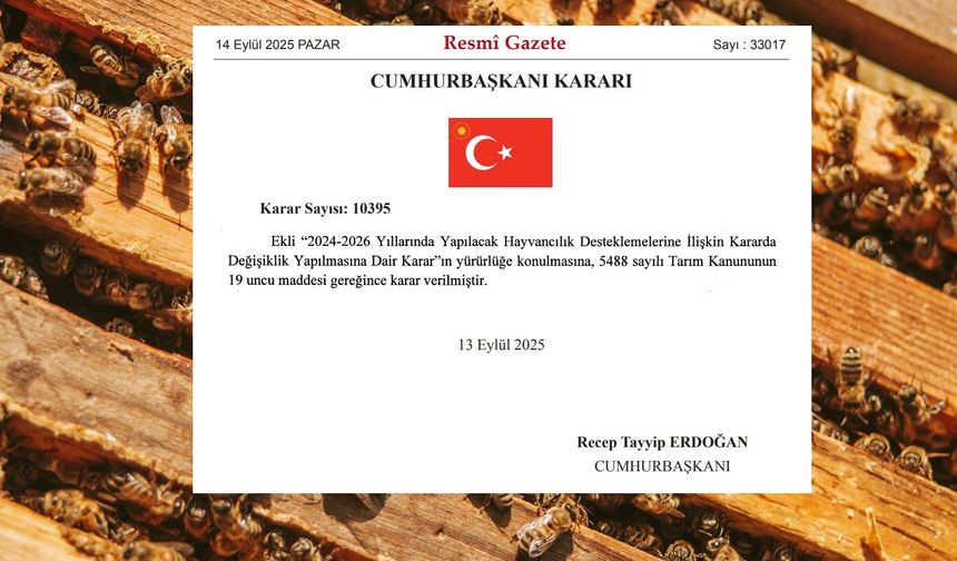Son Düzenleme İle Arıcılık Destekleri Arttı