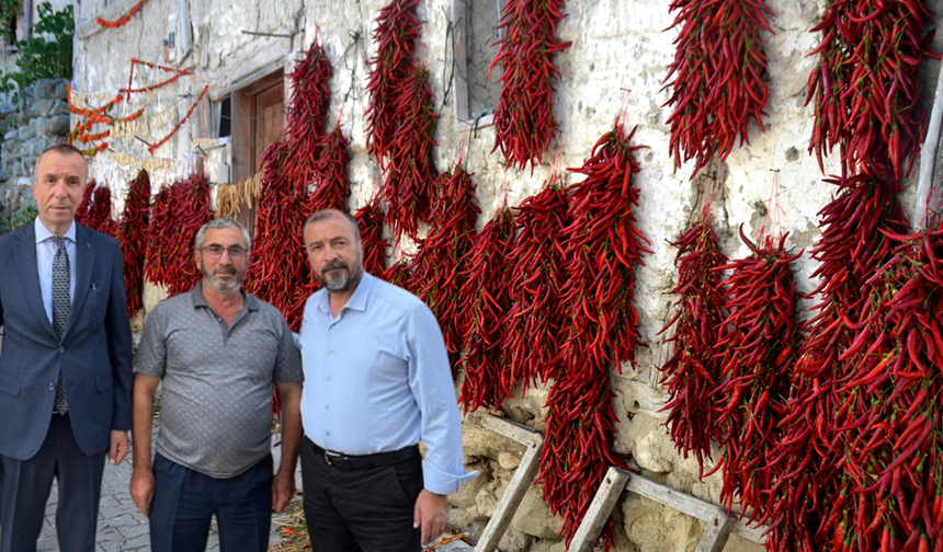 Bilecik'te 160 Yıldır Aynı Tohumdan Acı Biber Üretiliyor