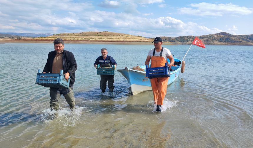 Çekerek'te Yaşanan Kuraklık, Balıkçıları da Vurdu