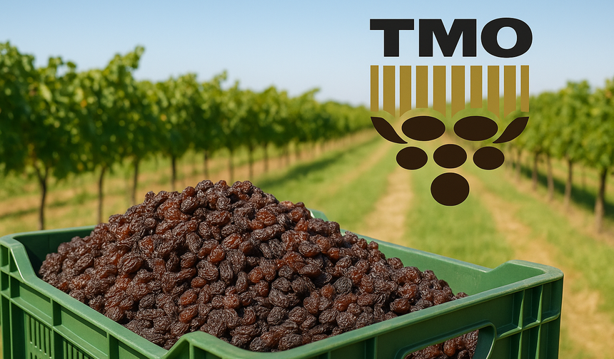 TMO Çekirdeksiz Kuru Üzüm Alım Fiyatını Açıkladı