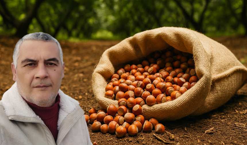 BU SENE FINDIK ÜRETMEK ZOR, FINDIĞA FİYAT BULMAK DAHA DA ZOR…