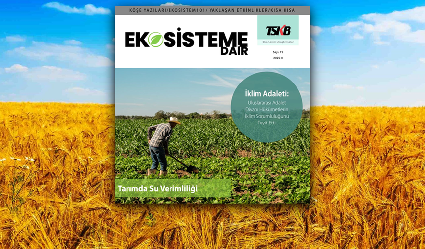 TSKB Ekosistem Dergisinde Onarıcı Tarım Kavramı İnceleniyor