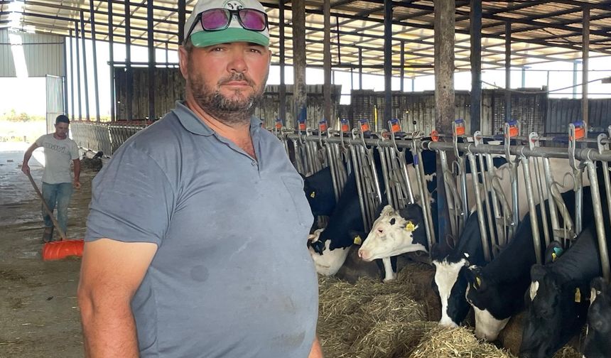 Bursa'lı Süt Üreticilerinden Firmalara Yem Dayatması Tepkisi