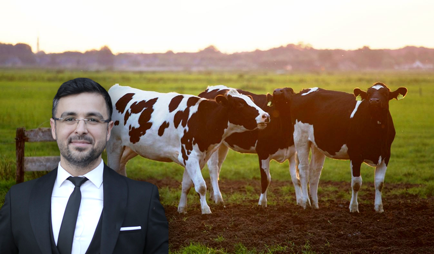 Vet. Hek. ÖNDER ÖZKIYICI: Üç Gün Hastalığı Nedir?