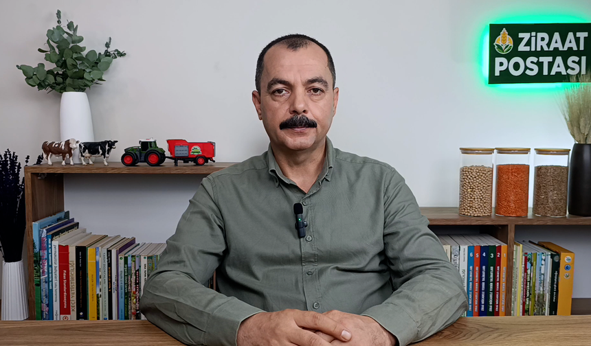 Tarım Sektöründe Dış Ticaret Verileri ve Soya İthalatı