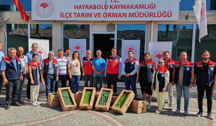 Tekirdağ Hayrabolu'da üreticilere kışlık fide desteği